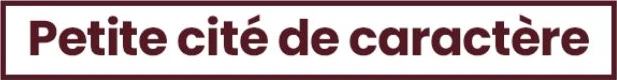 Senones : petite cité de caractère
